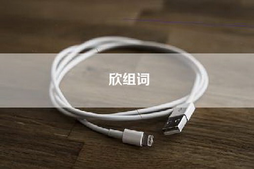 欣组词