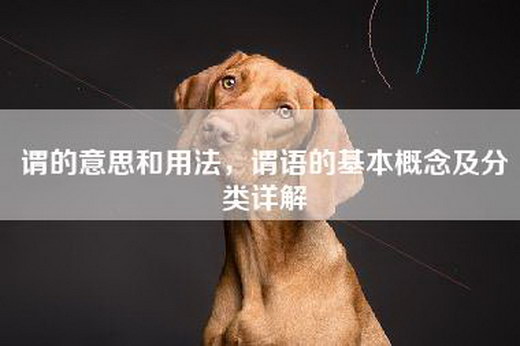 谓的意思和用法，谓语的基本概念及分类详解