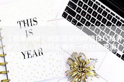 【独家揭秘】滴血莲花的种植技巧及养护方法，让你轻松拥有一片红色花海！