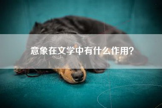 意象在文学中有什么作用？