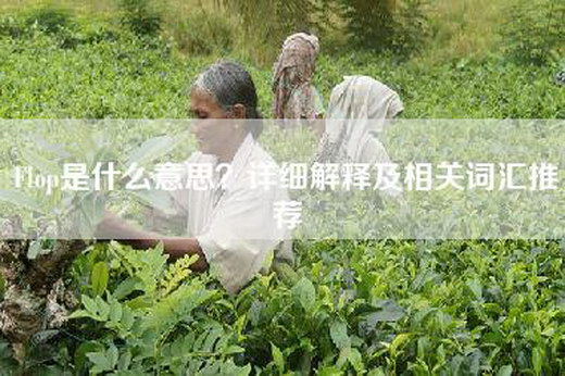 Flop是什么意思？详细解释及相关词汇推荐