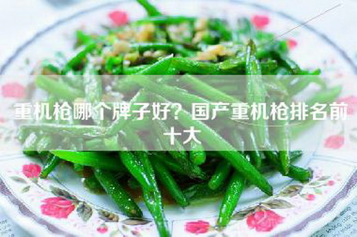重机枪哪个牌子好？国产重机枪排名前十大