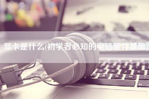 显卡是什么(初学者必知的电脑硬件基础)