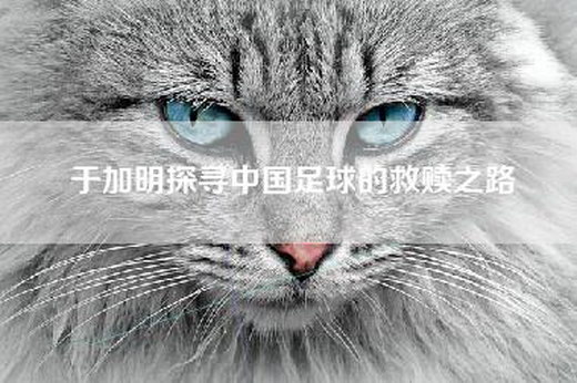 于加明探寻中国足球的救赎之路