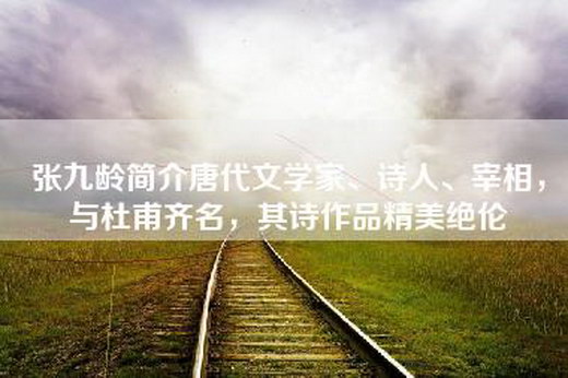 张九龄简介唐代文学家、诗人、宰相，与杜甫齐名，其诗作品精美绝伦