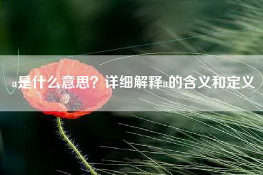 a是什么意思？详细解释a的含义和定义