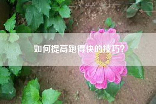 如何提高跑得快的技巧？