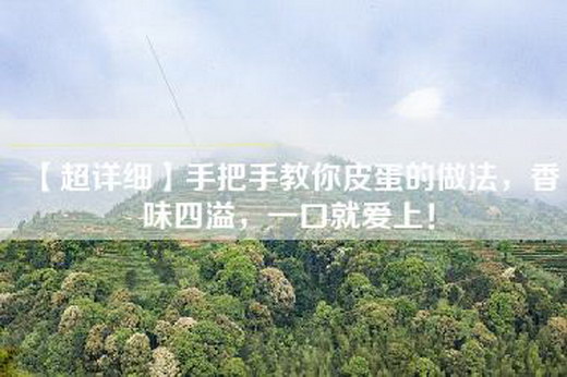 【超详细】手把手教你皮蛋的做法，香味四溢，一口就爱上！