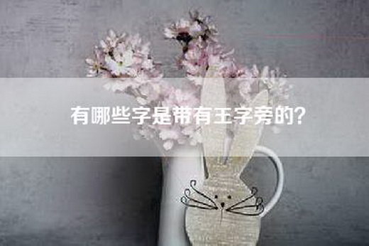 有哪些字是带有王字旁的？