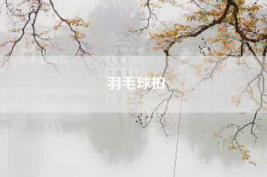 羽毛球拍