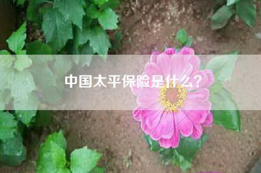 中国太平保险是什么？