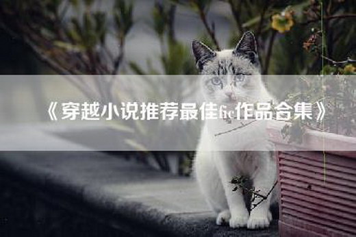 《穿越小说推荐最佳fic作品合集》