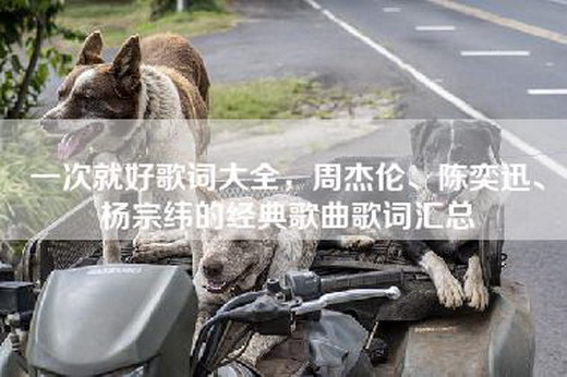 一次就好歌词大全，周杰伦、陈奕迅、杨宗纬的经典歌曲歌词汇总