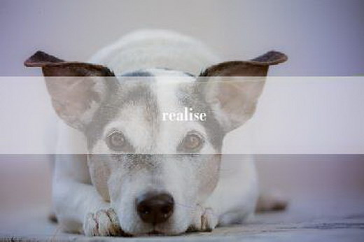 realise