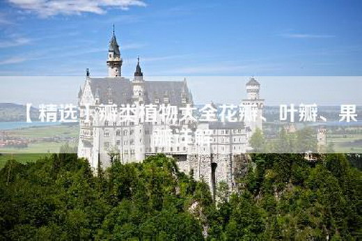 【精选】瓣类植物大全花瓣、叶瓣、果瓣详解