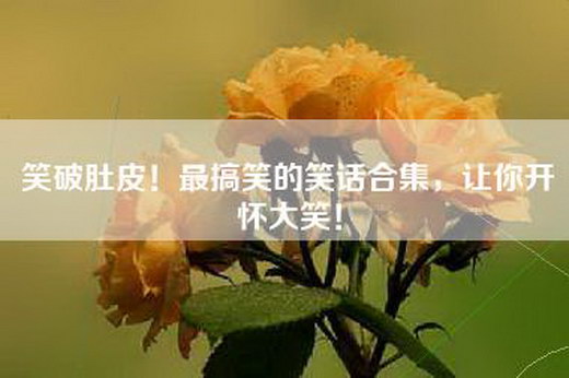 笑破肚皮！最搞笑的笑话合集，让你开怀大笑！