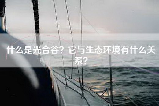 什么是光合谷？它与生态环境有什么关系？