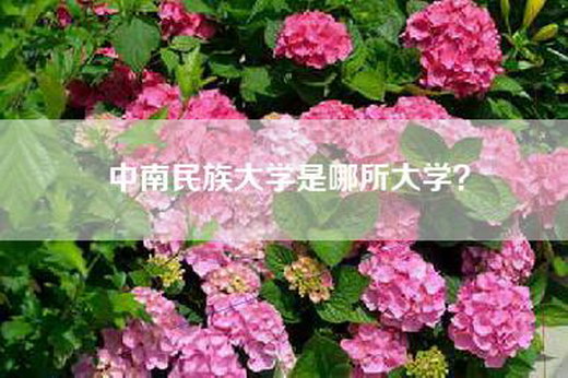 中南民族大学是哪所大学？