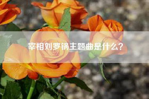宰相刘罗锅主题曲是什么？