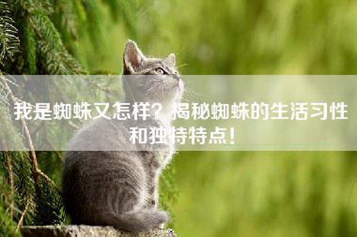 我是蜘蛛又怎样？揭秘蜘蛛的生活习性和独特特点！