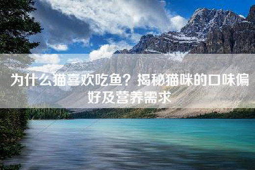 为什么猫喜欢吃鱼？揭秘猫咪的口味偏好及营养需求