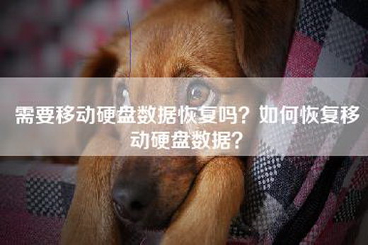 需要移动硬盘数据恢复吗？如何恢复移动硬盘数据？