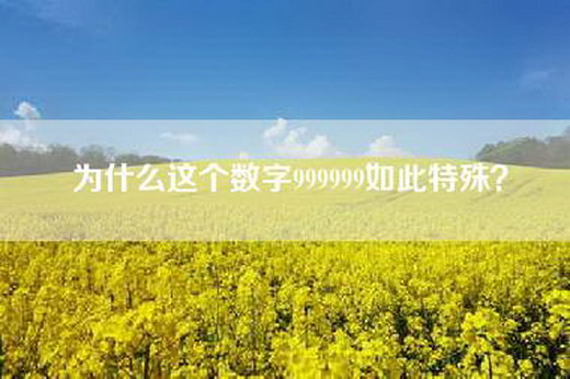 为什么这个数字999999如此特殊？