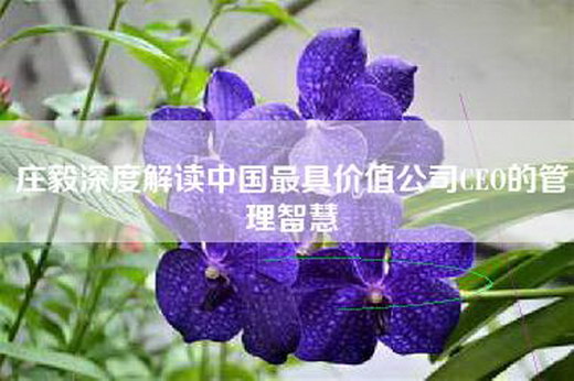 庄毅深度解读中国最具价值公司CEO的管理智慧