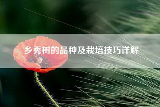 乡秀树的品种及栽培技巧详解