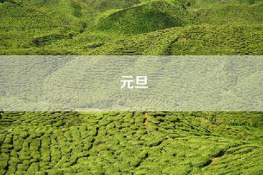 元旦