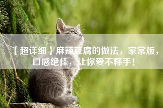 【超详细】麻辣豆腐的做法，家常版，口感绝佳，让你爱不释手！