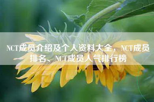 NCT成员介绍及个人资料大全，NCT成员排名、NCT成员人气排行榜