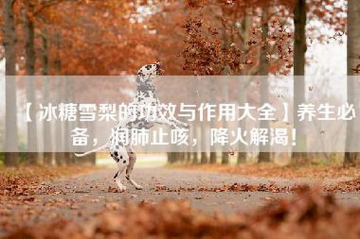 【冰糖雪梨的功效与作用大全】养生必备，润肺止咳，降火解渴！