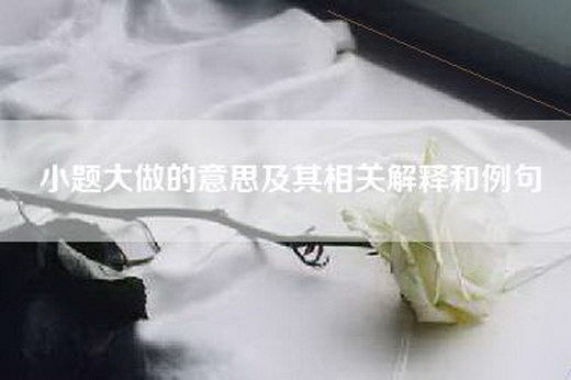 小题大做的意思及其相关解释和例句