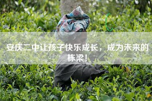 安庆二中让孩子快乐成长，成为未来的栋梁！