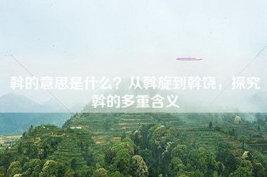斡的意思是什么？从斡旋到斡饶，探究斡的多重含义