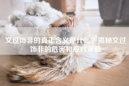 文过饰非的真正含义是什么？揭秘文过饰非的危害和应对策略