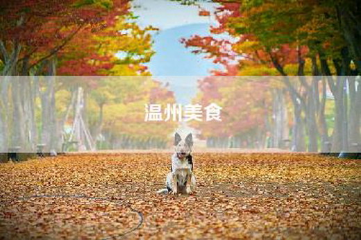温州美食