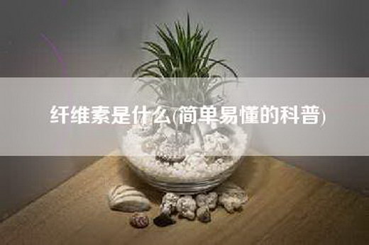 纤维素是什么(简单易懂的科普)