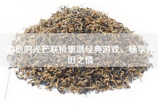 消逝的光芒联机重温经典游戏，畅享怀旧之情