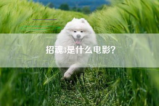 招魂3是什么电影？