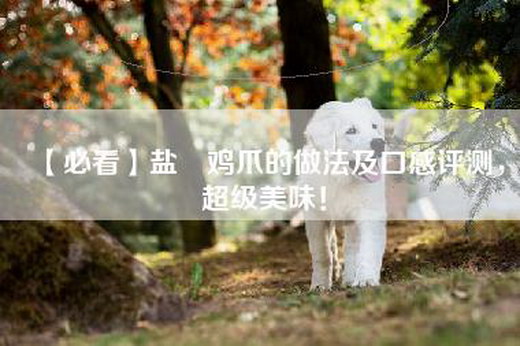 【必看】盐焗鸡爪的做法及口感评测，超级美味！