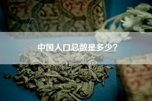 中国人口总数是多少？