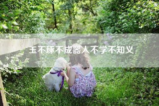 玉不琢不成器人不学不知义