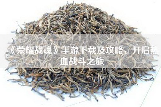 《荣耀战魂》手游下载及攻略，开启热血战斗之旅
