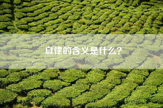 自律的含义是什么？