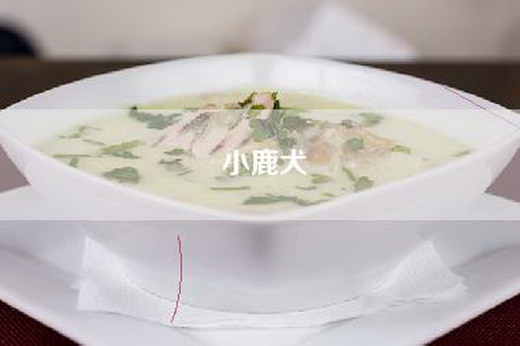 小鹿犬