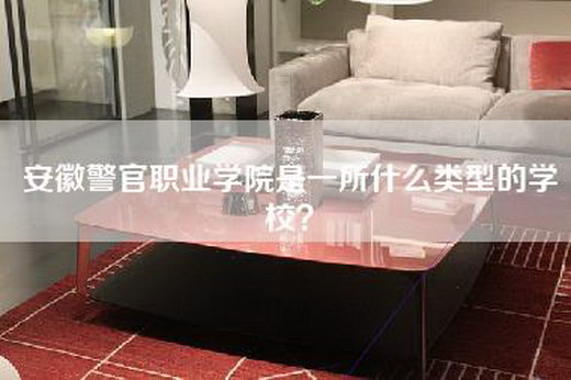 安徽警官职业学院是一所什么类型的学校？