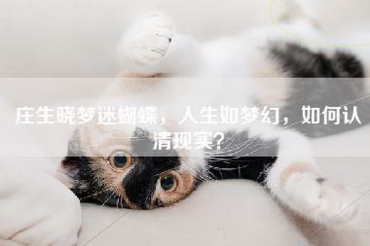 庄生晓梦迷蝴蝶，人生如梦幻，如何认清现实？