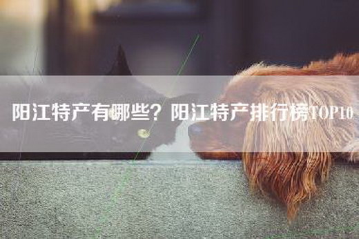 阳江特产有哪些？阳江特产排行榜TOP10